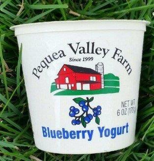 (Case of 6) 6oz Blueberry Yogurt