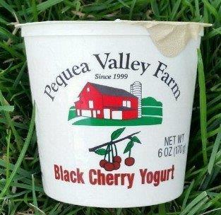 (Case of 6) 6oz Black Cherry Yogurt