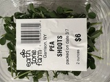 Pea Shoots