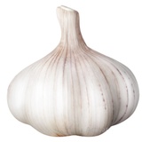 Organic Garlic Bulb
