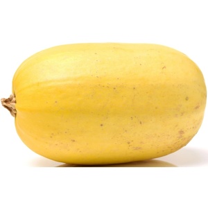 Organic Spaghetti Squash - Hudson Milk + Market