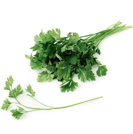Organic Flat Leaf Parsley
