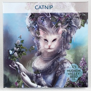 Hudson Valley Seed Co. Catnip Seeds - Thumbnail 3