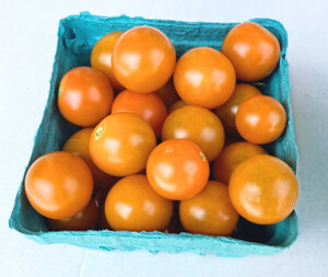 Organic Sun Gold Tomatoes