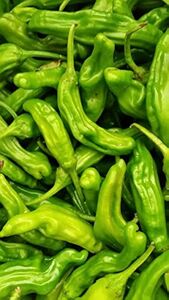 Organic Shishito Peppers