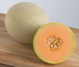 Organic Cantaloupe, "Sarah's Choice"