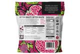 Pitaya Foods Frozen Pomegranate Seedless Cubes
