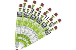 Sogo Snacks Beef Stick - Iowa Smoked Original 