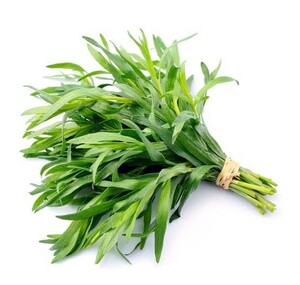 Organic Tarragon