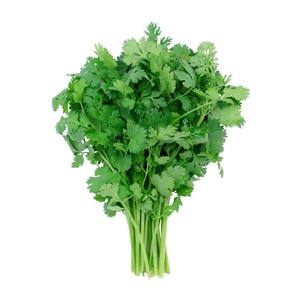 Organic Cilantro