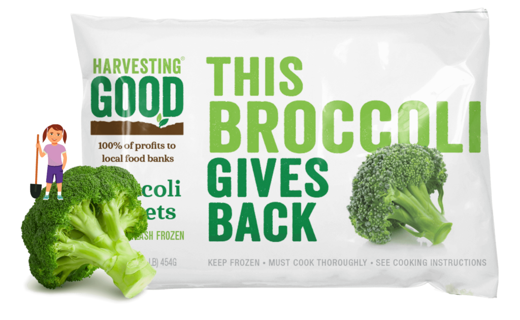 Harvesting Good - Cut Broccoli