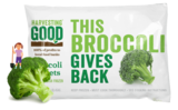 Harvesting Good - Cut Broccoli