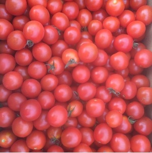 Organic Cherry Tomatoes
