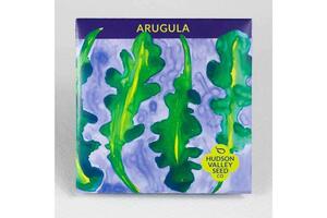 Arugula Seeds