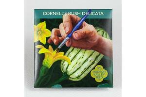 Cornell's Bush Delicata Squash Seeds