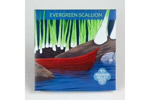 Evergreen Scallion Seeds