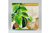 Genovese Basil Seeds