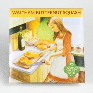 Waltham Butternut Squash Seeds