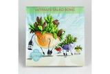 Ultimate Salad Bowl Seeds