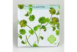 Cilantro Seeds