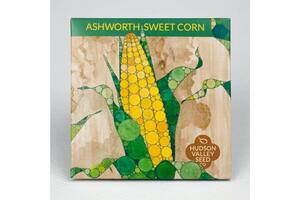 Ashworth Street Corn Seeds