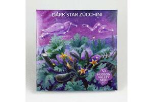 Dark Star Zucchini Seeds