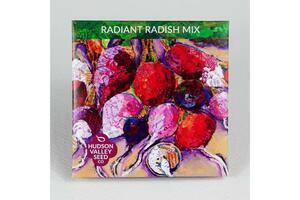Radiant Radish Seed Mix