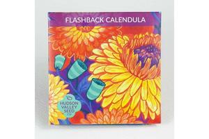 Flashback Calendula Seed Mix