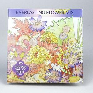 Everlasting Flower Seed Mix