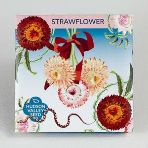 Strawflower Seed Mix