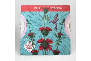 Kilp Dagga Seeds