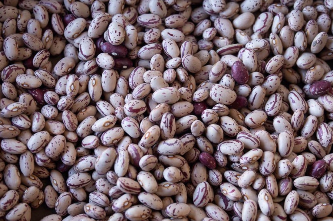 Rancho Gordo - Cranberry Bean