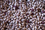 Rancho Gordo - Cranberry Bean