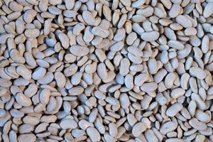 Rancho Gordo - Cassoulet (Tarbais) Bean