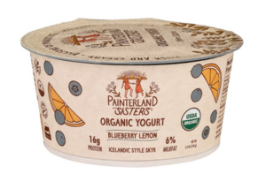 Organic Skyr Yogurt - Blueberry Lemon