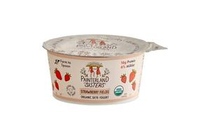 Painterland Sisters Strawberry Organic Skyr Yogurt