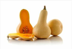 Produce - Seasonal Produce - Hudson Milk + Market