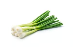 Local Organic Scallions - 1 bunch