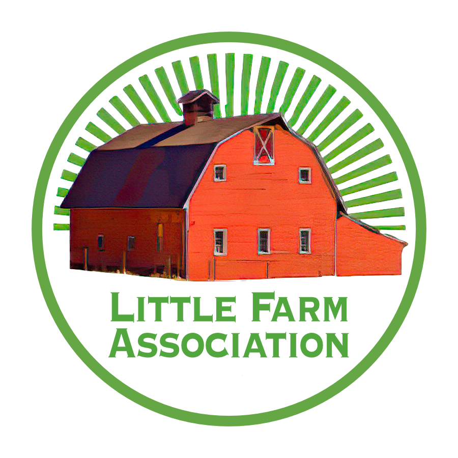 Monthly Membership